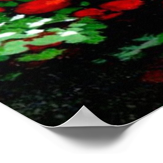 Park Bridge Poster (Ecke)