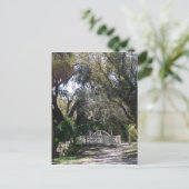 Park Bridge Postkarte (Stehend Vorderseite)