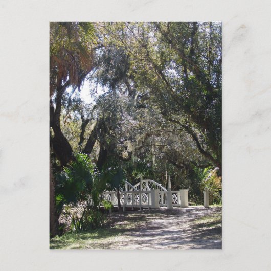 Park Bridge Postkarte (Vorderseite)