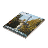 Park-Brunnen der Savanne-GA Georgia | Forsyth Fliese (Seite)