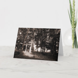 Park Bute, Cardiff II Karte