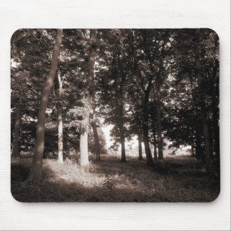 Park Bute, Cardiff II Mousepad