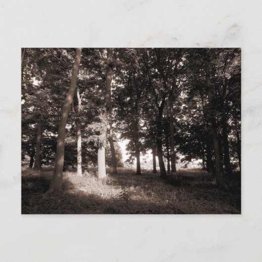 Park Bute, Cardiff II Postkarte (Vorderseite)