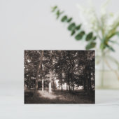 Park Bute, Cardiff II Postkarte (Stehend Vorderseite)