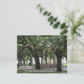 Park, Charleston South Carolina, Gazebo, Postkarte (Stehend Vorderseite)