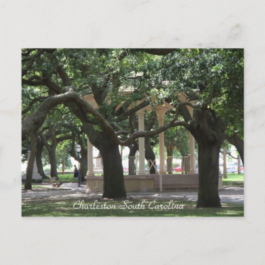 Park, Charleston South Carolina, Gazebo, Postkarte (Vorderseite)