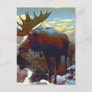Park City Moose Souvenir Card Postkarte