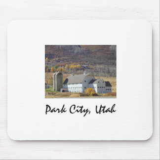 Park- Cityandenken Mousepad