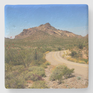 Park der Orgel in Arizona, Untersetzer
