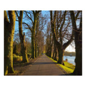 Park Fotodruck (Vorne)