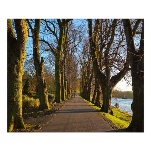 Park Fotodruck (Vorne)