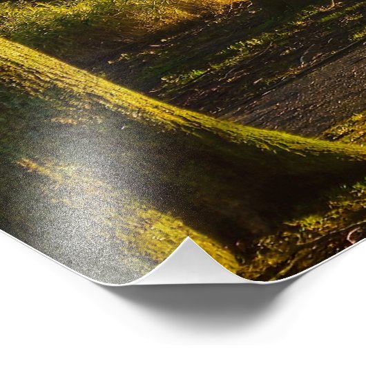 Park Fotodruck (Ecke)