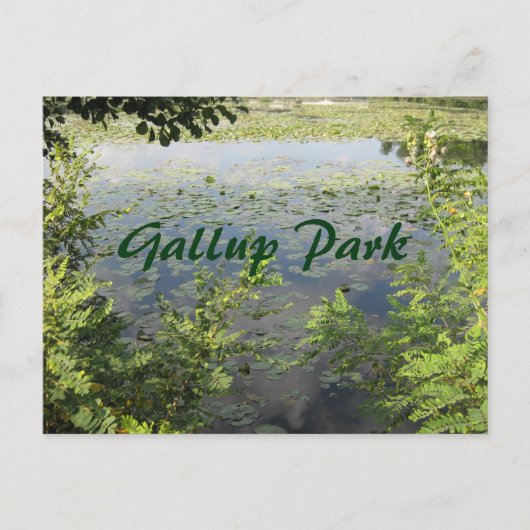 Park/Garten: Postkarte (Vorderseite)