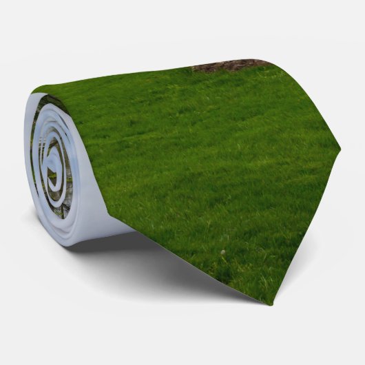 Park Krawatte (Gerollt)