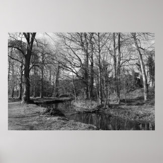 Park Landscape - Bute Park, Cardiff Poster