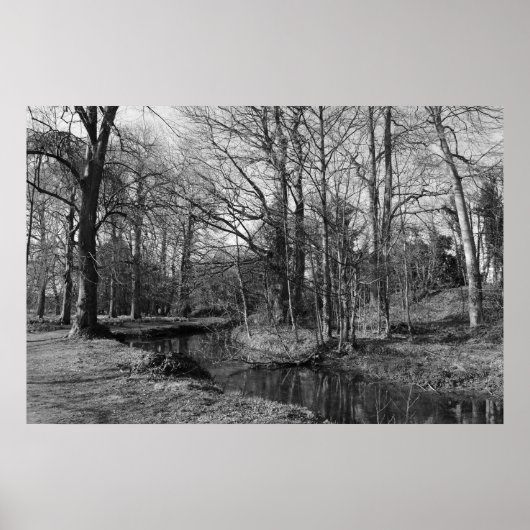 Park Landscape - Bute Park, Cardiff Poster (Vorne)