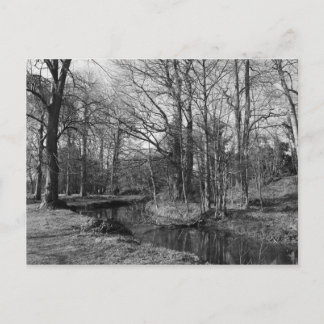 Park Landscape - Bute Park, Cardiff Postkarte