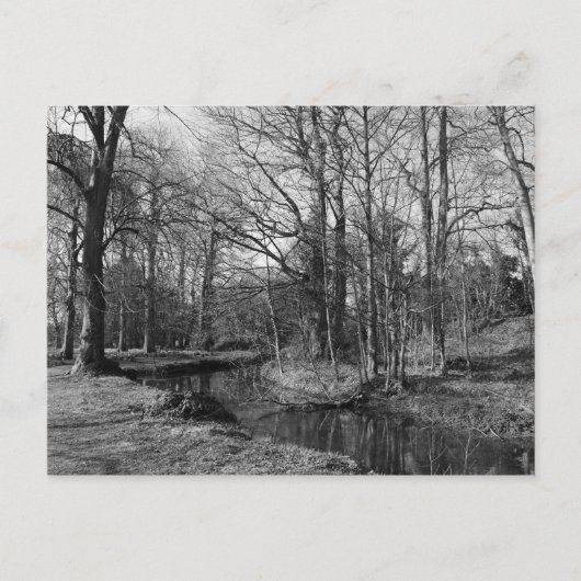 Park Landscape - Bute Park, Cardiff Postkarte (Vorderseite)