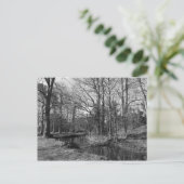 Park Landscape - Bute Park, Cardiff Postkarte (Stehend Vorderseite)
