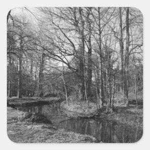 Park Landscape - Bute Park, Cardiff Quadratischer Aufkleber
