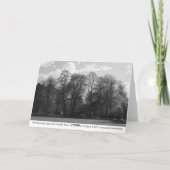 Park Landscape, Bute Park, Cardiff, Wales, UK Karte (Rückseite)