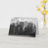 Park Landscape, Bute Park, Cardiff, Wales, UK Karte (Gelbe Blume)