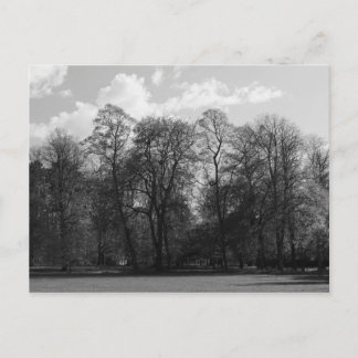 Park Landscape, Bute Park, Cardiff, Wales, UK Postkarte