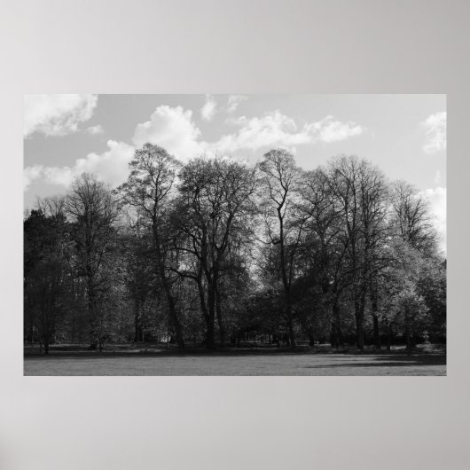 Park Landscape Poster (Vorne)