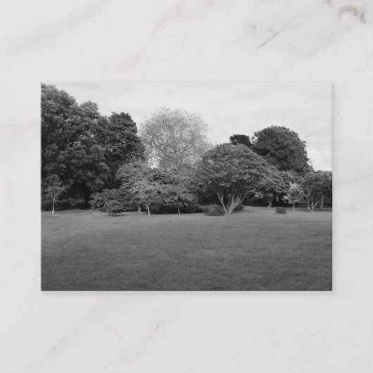 Park Landscape Visitenkarte (Vorderseite)