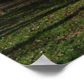 Park Landschaft im Frühjahr Poster (Ecke)