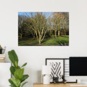 Park Landschaft im Frühjahr Poster (Heimbüro)