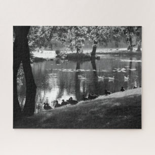 Park Life 16x20 520pc jpcna Puzzle