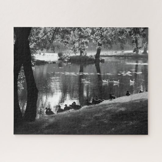 Park Life 16x20 520pc jpcnm Puzzle (Horizontal)