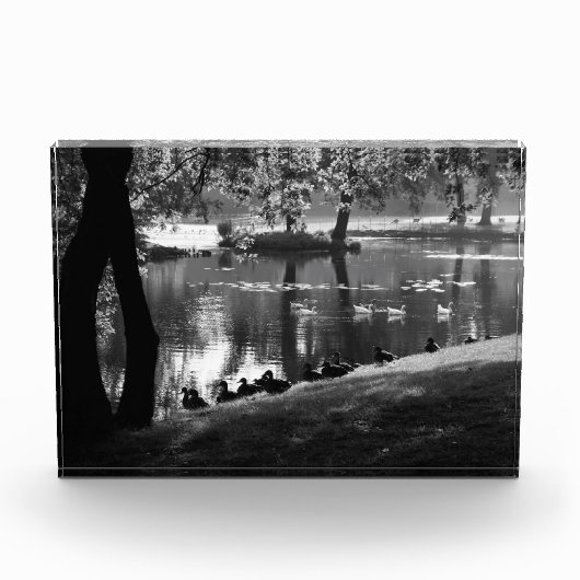 Park Life bm Fotoblock (Vorderseite)