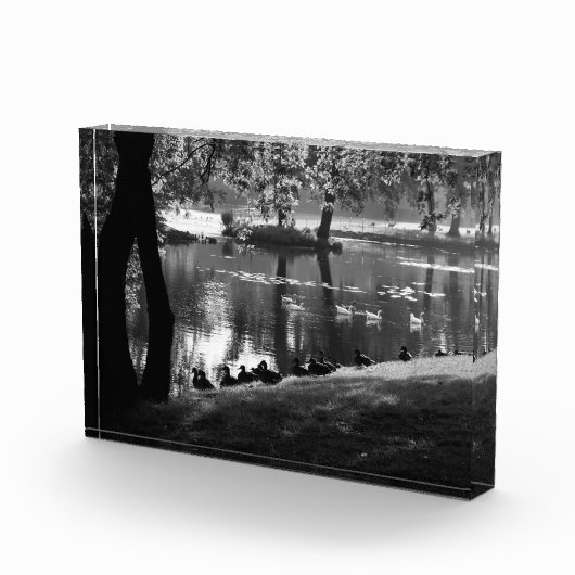 Park Life bm Fotoblock (Rechts)