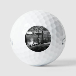 Park Life css gbcna Golfball