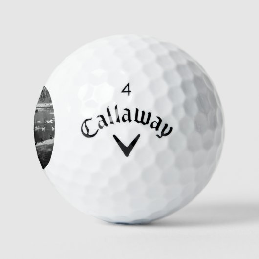 Park Life css gbcna Golfball (Logo)