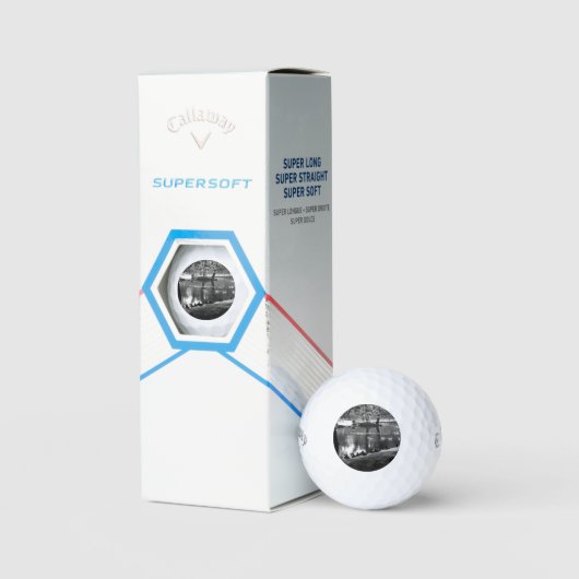 Park Life css gbcnm Golfball (Verpackung)