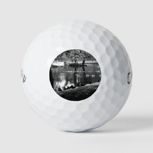 Park Life cwb gbcnm Golfball (Vorderseite)