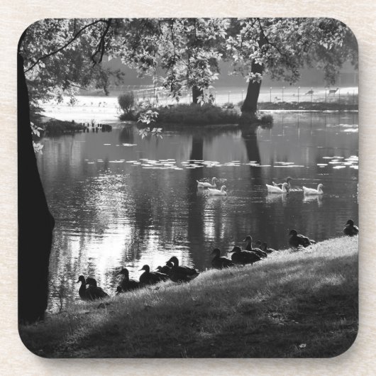 Park Life Küstenercnm Getränkeuntersetzer (Vorderseite)