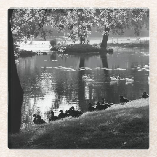 Park Life Küstenercnm Glasuntersetzer (Vorderseite)