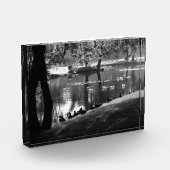 Park Life pba Fotoblock (Links)