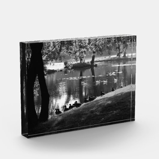 Park Life pba Fotoblock (Links)