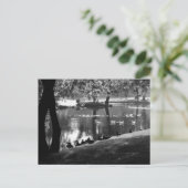 Park Life Pcca Postkarte (Stehend Vorderseite)