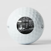 Park Life tmtp5 gbcna Golfball (Vorderseite)