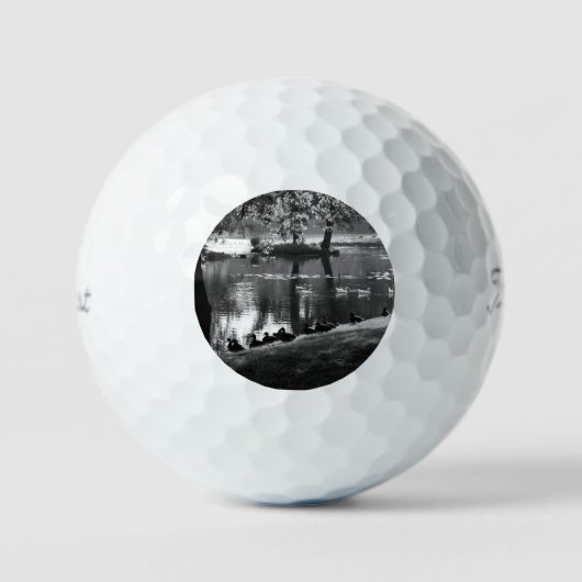 Park Life tpv1 gbm Golfball (Vorderseite)