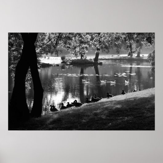 Park Life wapa Poster (Vorne)