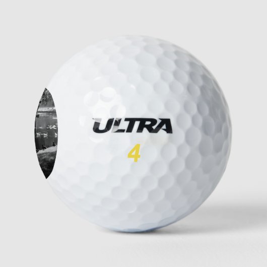 Park Life wu gbcna Golfball (Logo)