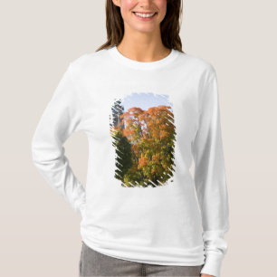 Park neben dem Gebäude des Parlaments in Ottawa, T-Shirt