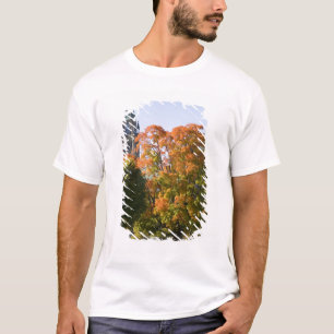 Park neben dem Parlamentsgebäude in Ottawa, T-Shirt